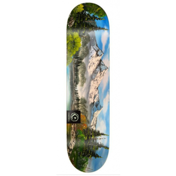 Foundation Aidan Campbell 'Scapes Skateboard Deck - 8.25